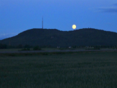 Foto: Dietmar Schubert