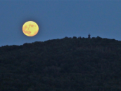 Foto: Dietmar Schubert