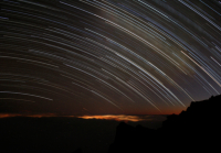 Foto: Rüdiger Mönch, 2010