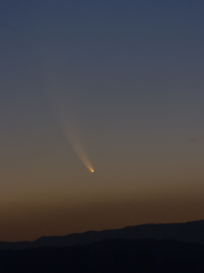 Foto: Wolf - Harald Liebig,  2008