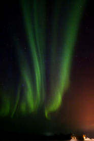 Foto: Wolf - Harald Liebig, 10.05.2008