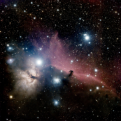 Foto: Rüdiger Mönch